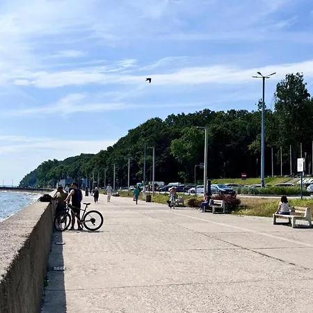 Meduza Prostywynajem Pola Gdynia