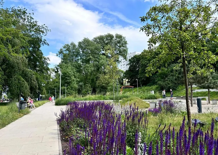 Meduza Prostywynajem Pola